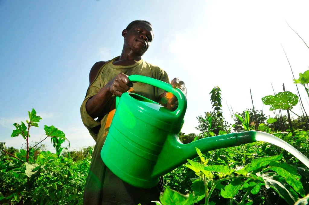 Agribusiness Opportunities